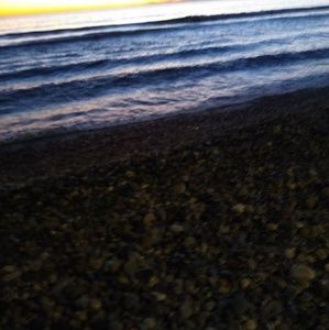 Meet your Posher, Maurice